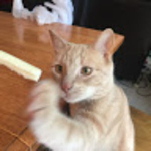 Meet your Posher, Marissa